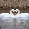 julieann48134